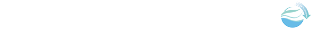 2026年世界杯